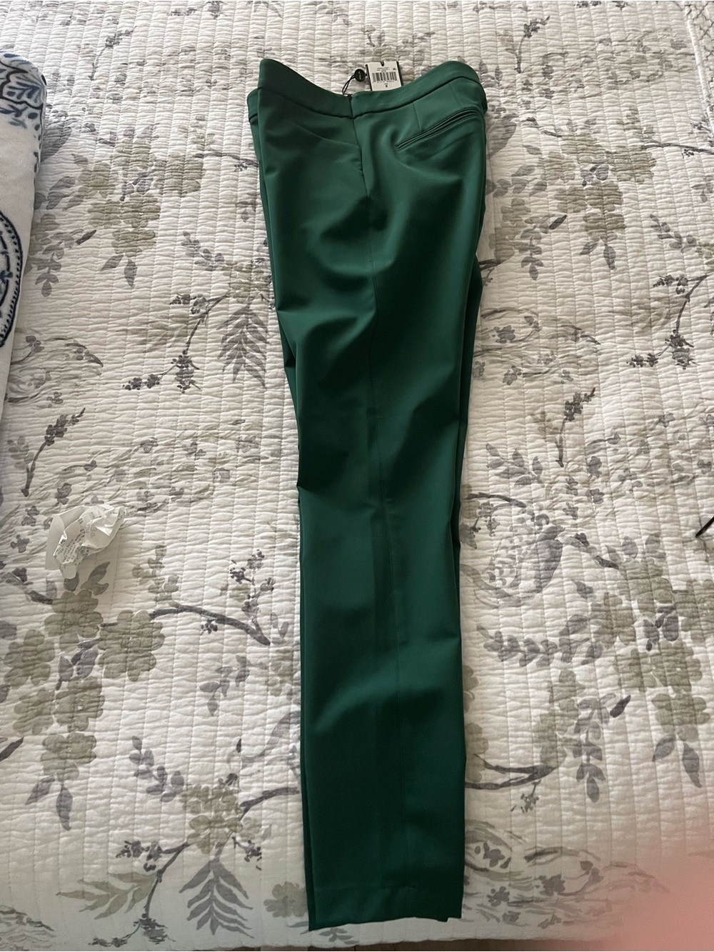 Ralph Lauren RLX Forest Green Dress Pants Size 2
